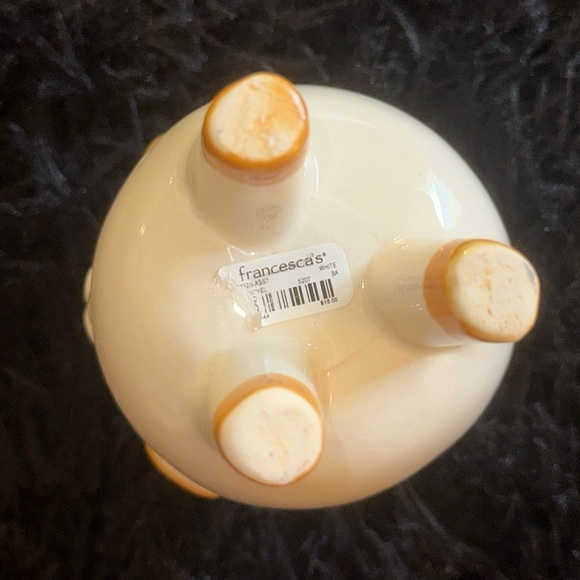 BRAND NEW ‘Francesca’s’ Dog succulent - Picture 4 of 4